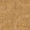See color option for 4' x 6' Outdoor Botanical Rug