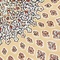 See color option for 5' x 8' Nain Design Rug