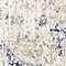 See color option for 65cm x 200cm Lexington Runner Rug
