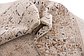 8' x 8' Villa Round Rug thumbnail image 7