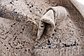3' x 13' Villa Runner Rug thumbnail image 10