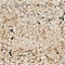 See color option for 2' 2 x 6' 7 Villa Runner Rug