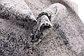 3' x 13' Villa Runner Rug thumbnail image 12