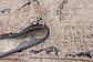 3' x 13' Villa Runner Rug thumbnail image 12