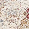 See color option for 3' 3 x 5' 3 Lexington Rug