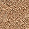 See color option for 2' 2 x 6' 7 Basic Frieze Runner Rug
