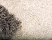 8' x 8' Solid Frieze Round Rug thumbnail