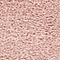 Link to variation of this rug: SKU#3136468