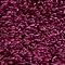 See color option for 2' 2 x 3' Solid Shag Rug