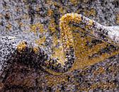 7' x 10' Outdoor Modern Rug thumbnail