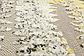 2' x 6' Outdoor Modern Runner Rug thumbnail