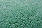 Unique Loom 2' 7 x 6' Luxe Solo Runner Rug thumbnail image 4