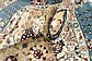 305cm x 305cm Tabriz Design Round Rug thumbnail image 6