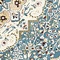 See color option for Unique Loom 13' x 19' 8 Bazaar Rug
