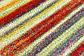 60cm x 183cm Florence Runner Rug thumbnail image 4