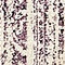See color option for 2' 2 x 6' Angelica Runner Rug