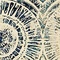 See color option for 9' x 12' Ethereal Rug