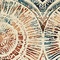 See color option for 9' x 12' Ethereal Rug