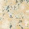 See color option for 4' x 6' Gossamer Rug
