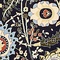 See color option for 8' x 10' Neda Rug