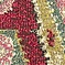 See color option for 2' 2 x 6' 7 Santa Fe Runner Rug