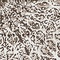 See color option for 8' x 10' Monaco Rug