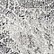 Link to variation of this rug: SKU#3137782