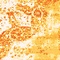 Link to variation of this rug: SKU#3134071