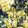 Link to variation of this rug: SKU#3134073