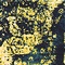 Link to variation of this rug: SKU#3134092