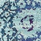 See color option for 10' x 13' Palazzo Rug
