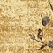 See color option for 8' x 8' Coffee Shop Round Rug