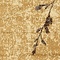See color option for 9' x 12' Coffee Shop Rug