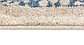 4' x 4' Viola Square Rug thumbnail image 9