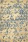 5' 3 x 8' Outdoor Botanical Rug thumbnail
