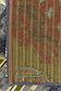 4' x 6' Outdoor Modern Rug thumbnail