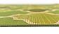 160cm x 245cm Outdoor Trellis Rug thumbnail image 11