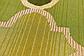 8' x 11' 4 Outdoor Lattice Rug thumbnail