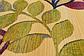 10' x 12' Outdoor Botanical Rug thumbnail