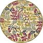 245cm x 245cm Outdoor Botanical Round Rug thumbnail image 1