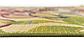 4' x 6' Outdoor Botanical Rug thumbnail