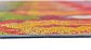 Unique Loom 5' 3 x 8' Outdoor Modern Rug thumbnail image 8