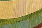 10' x 12' Outdoor Modern Rug thumbnail