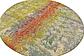 8' x 8' Outdoor Modern Round Rug thumbnail