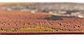 8' x 11' 4 Outdoor Modern Rug thumbnail image 8