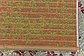 5' 3 x 8' Outdoor Botanical Rug thumbnail image 11