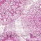 See color option for 8' x 10' Monaco Rug
