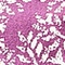 Link to variation of this rug: SKU#3138667