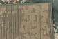 Unique Loom 9' x 12' Tuareg Rug thumbnail image 10