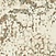 See color option for 2' 6 x 10' Sahara Runner Rug